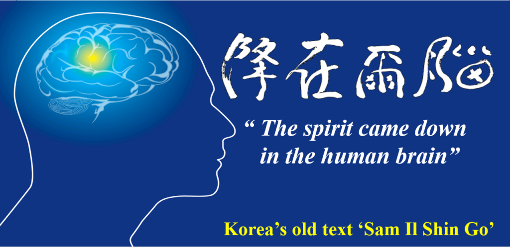 뇌철학: 몸으로부터의 변화,감각 회복, 의식 성장 IBREA 국제뇌교육협회